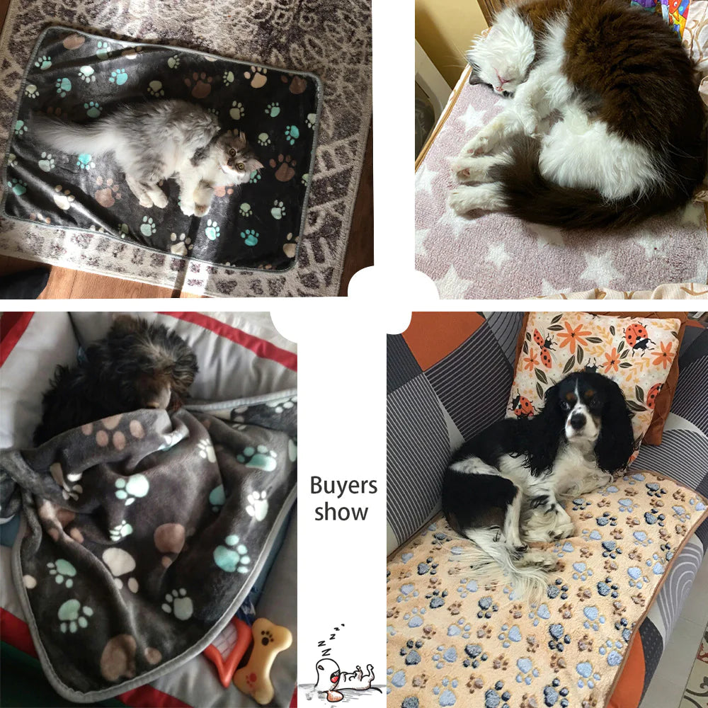 Universal Pet Blanket for All Seasons - Coral Fleece